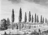1805_bornheimer_heide.jpg (56217 Byte)
