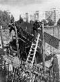 1945_sperrbezirk_zaun.jpg (37.841 Byte)