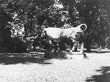 1950_guethersburgpark4.jpg (53.439 Byte)