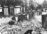 1960_juedischer_friedhof.jpg (64.570 Byte)