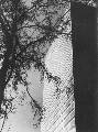 1967_shellhochhaus4.jpg (29.546 Byte)